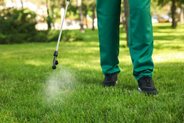 Best Exterminator Services  in Pomona, NY