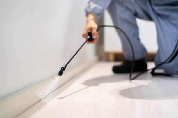 Pest Control Cost in Pomona, NY