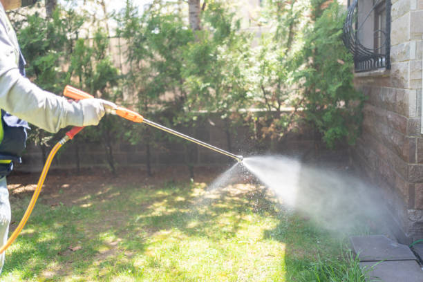 Best Pest Prevention Services  in Pomona, NY