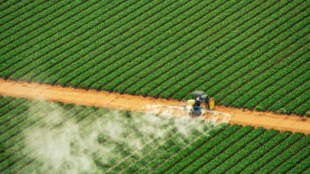 Best Commercial Pest Control Services  in Pomona, NY