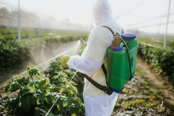 Best Local Pest Control Services  in Pomona, NY